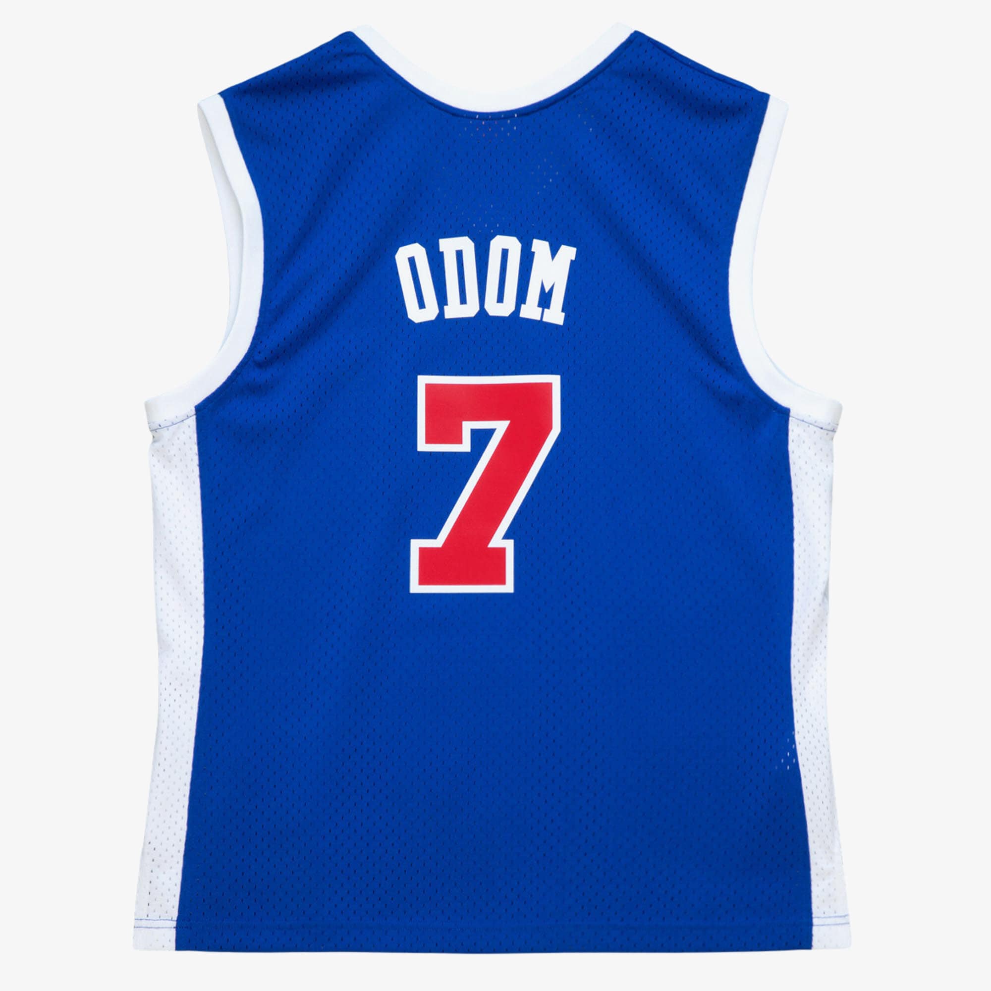 Los Angeles Clippers Mitchell & Ness Swingman Jersey Lamar Odom 2002-03 NBA Team Jersey Basketball Fan Apparel