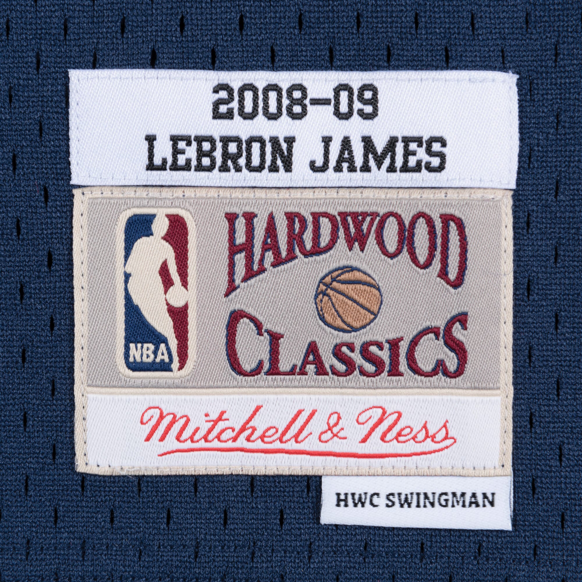 Cleveland Cavaliers Mitchell & Ness Swingman Jersey Alternate LeBron James 2008-09 NBA Team Jersey Basketball Fan Apparel