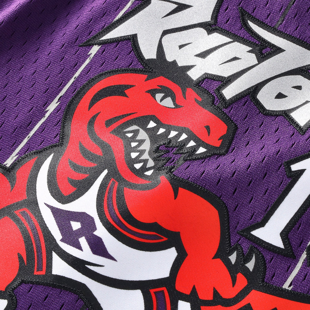 Toronto Raptors Mitchell & Ness Swingman Jersey - Vince Carter - Youth NBA Team Jersey Basketball Fan Apparel