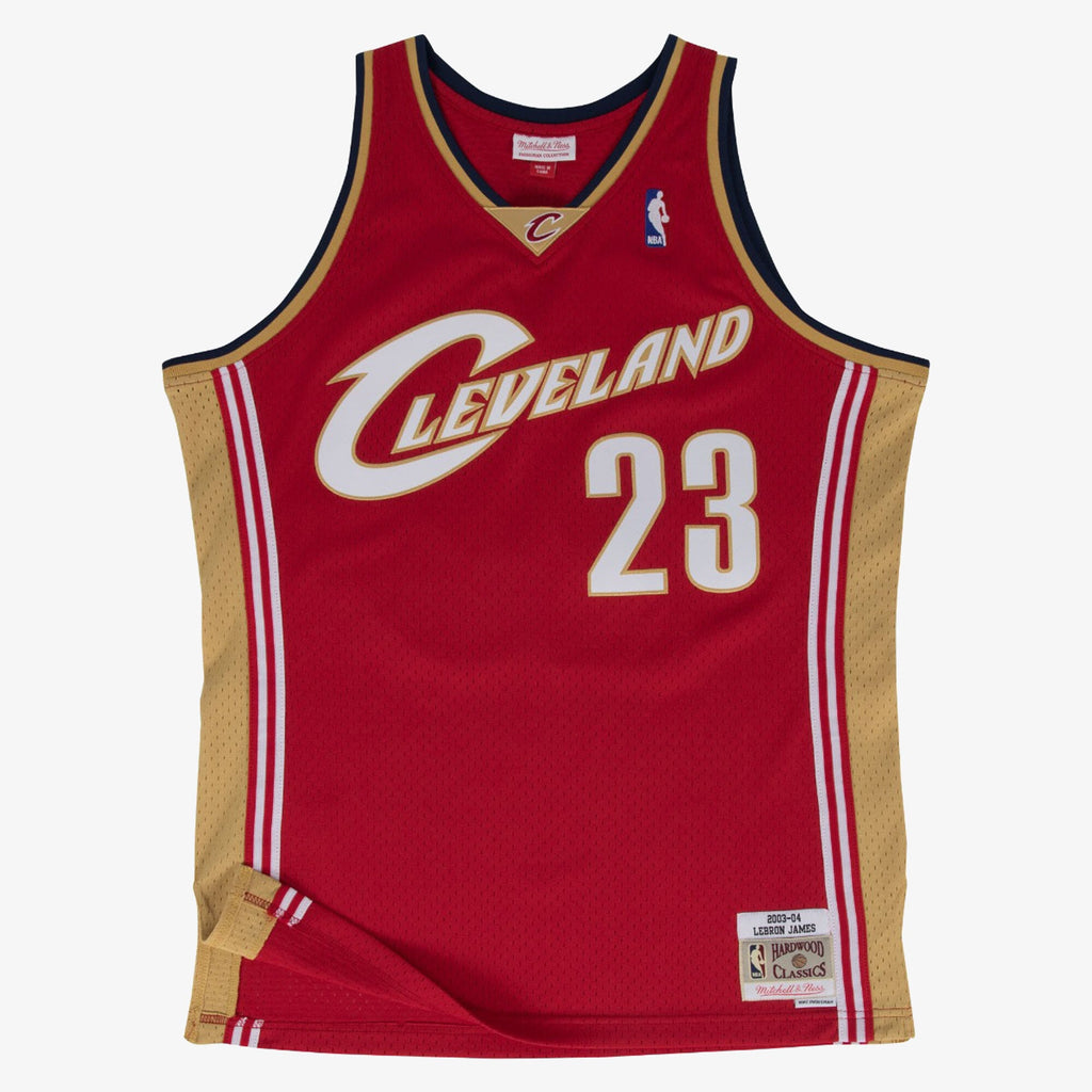 Cleveland Cavaliers Mitchell & Ness Swingman Jersey Road LeBron James 2003-04 NBA Team Jersey Basketball Fan Apparel