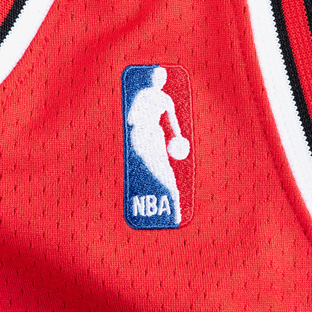 Chicago Bulls Mitchell & Ness Authentic Jersey Road Finals Michael Jordan 1995-96 NBA Team Jersey Basketball Fan Apparel