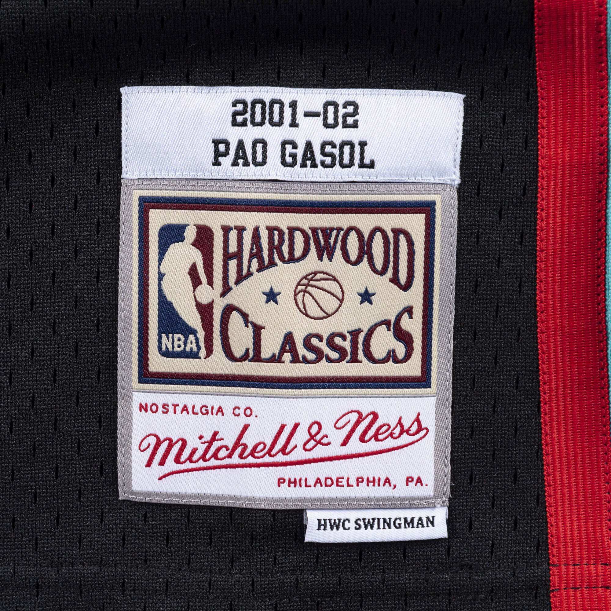 Memphis Grizzlies Mitchell & Ness Swingman Jersey Pau Gasol 2001-02 NBA Team Jersey Basketball Fan Apparel