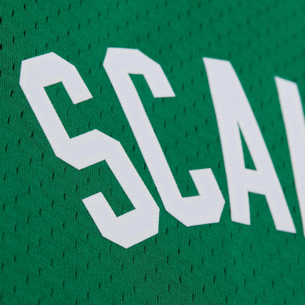 Boston Celtics Mitchell & Ness Swingman Jersey - Brian Scalabrine - Men's NBA Team Jersey Basketball Fan Apparel
