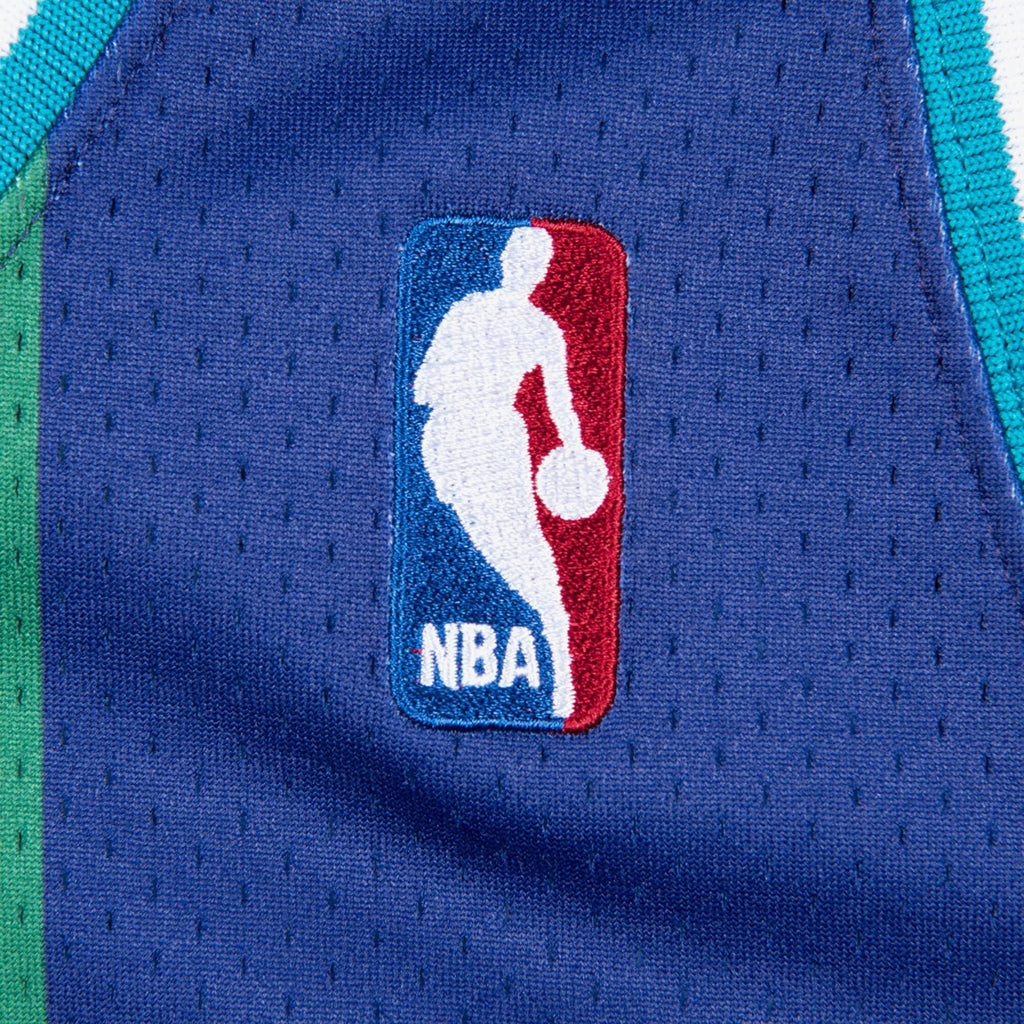 Charlotte Hornets Mitchell & Ness Authentic Jersey Alternate Alonzo Mourning 1994-95 NBA Team Jersey Basketball Fan Apparel